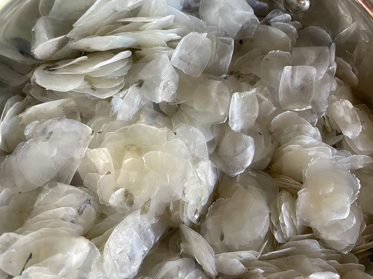 Bequin raw material fish scales. Part of UAL Fashion, Textiles and Technology Institute's New Landscapes exhibition, 2025