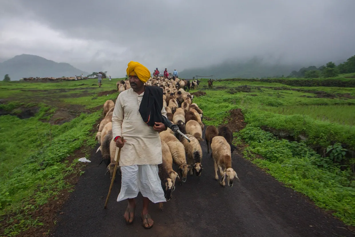 Desi-Oon Wool Traceability Framework - Malshej Ghat - Getting ready to cross the ghat. Part of UAL Fashion, Textiles and Technology Institute's New Landscapes exhibition, 2025